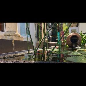 Meet your Posher, Adan