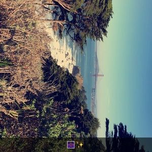 Meet your Posher, Isabel