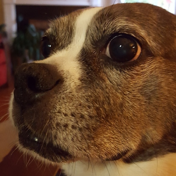 Meet your Posher, Deborah - Picture 2 of 7