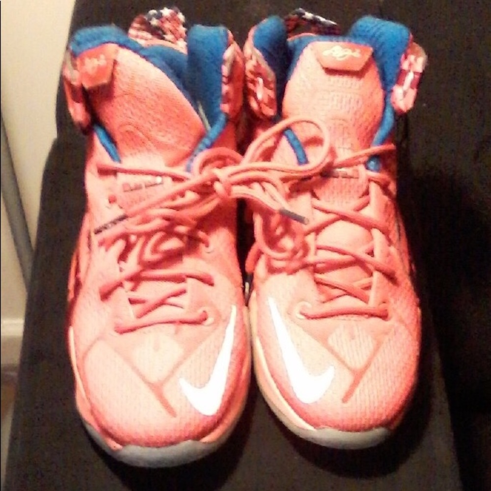 Big kids Lebron James Nike shoes