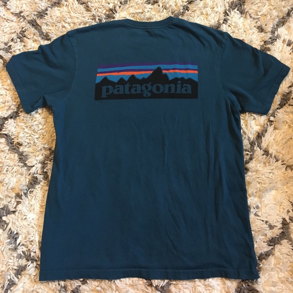 Patagonia tee