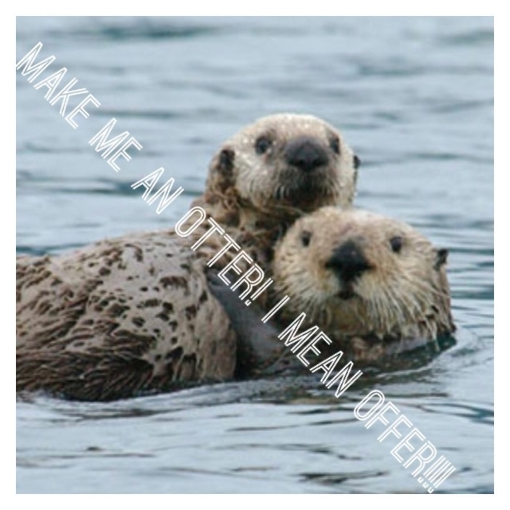 Accepting all reasonable offers and otters!