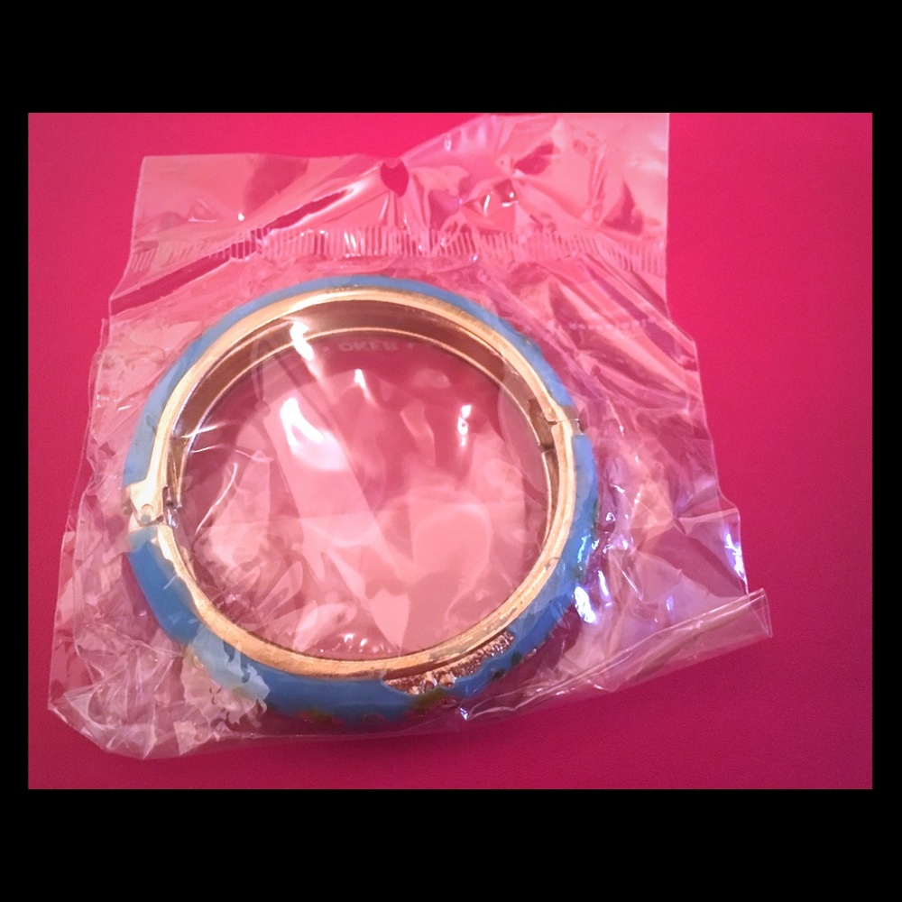 Beautiful Blue Bangle