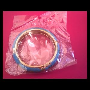 Beautiful Blue Bangle