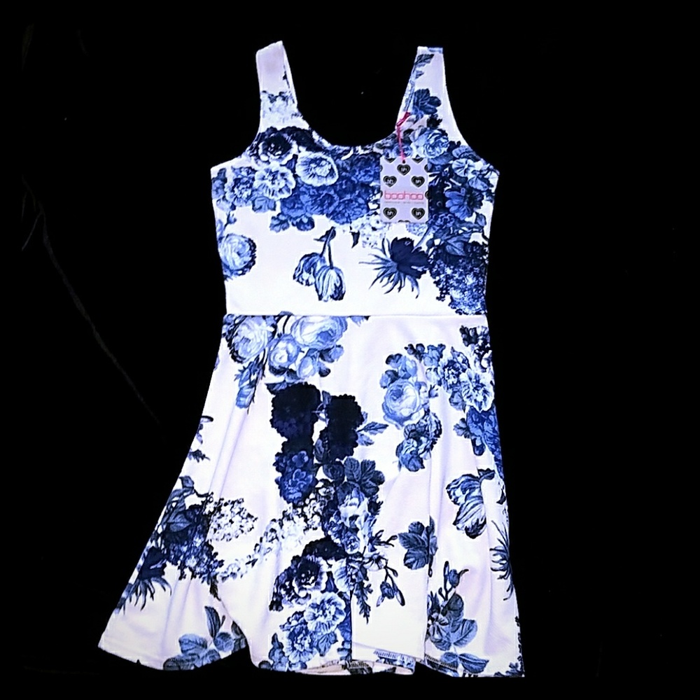 Boohoo Floral Skater Dress