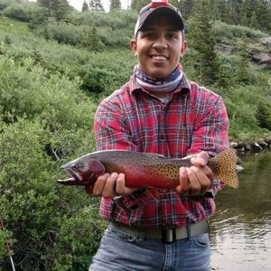 Meet your Posher, Steve