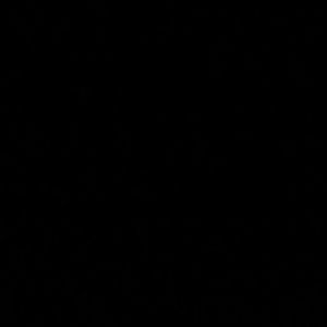 Meet your Posher, Mallory