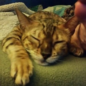 Meet your Posher, Crystal