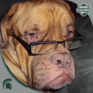 Meet your Posher, Denise