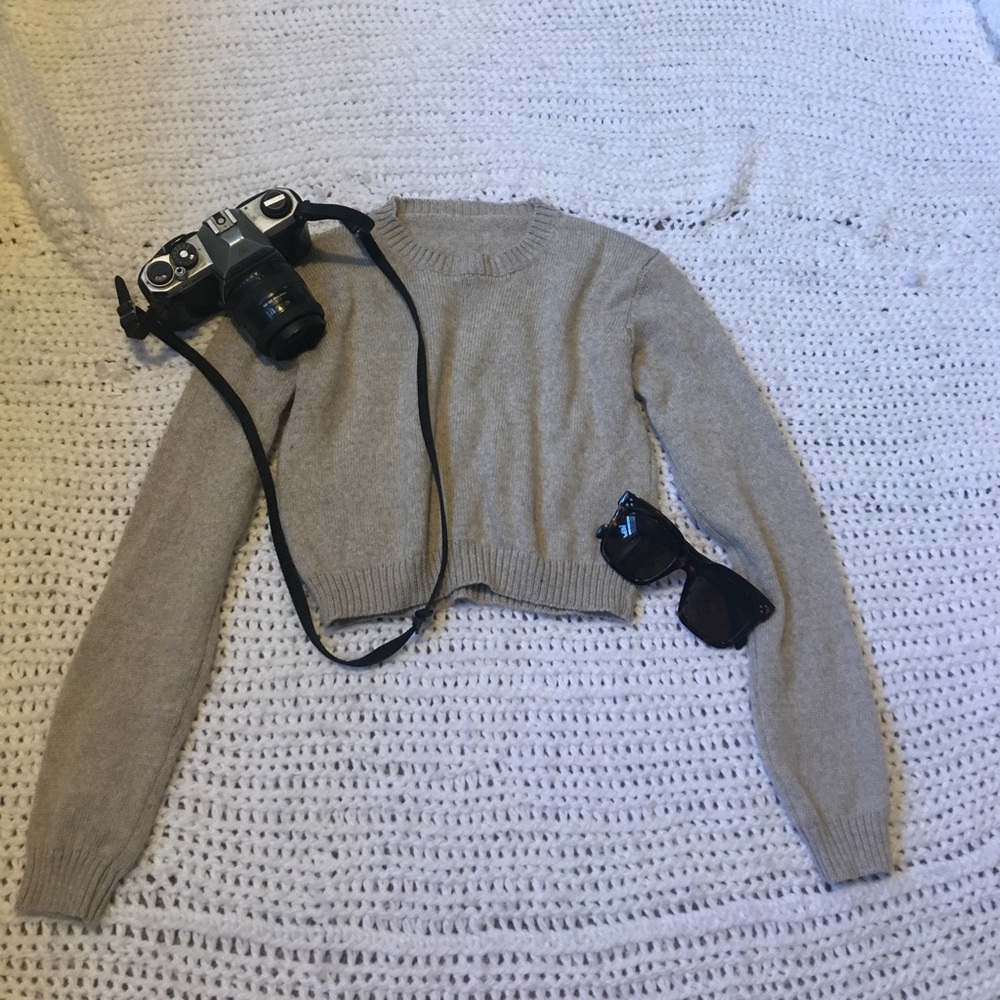 Brandy Melville Cropped Sweater