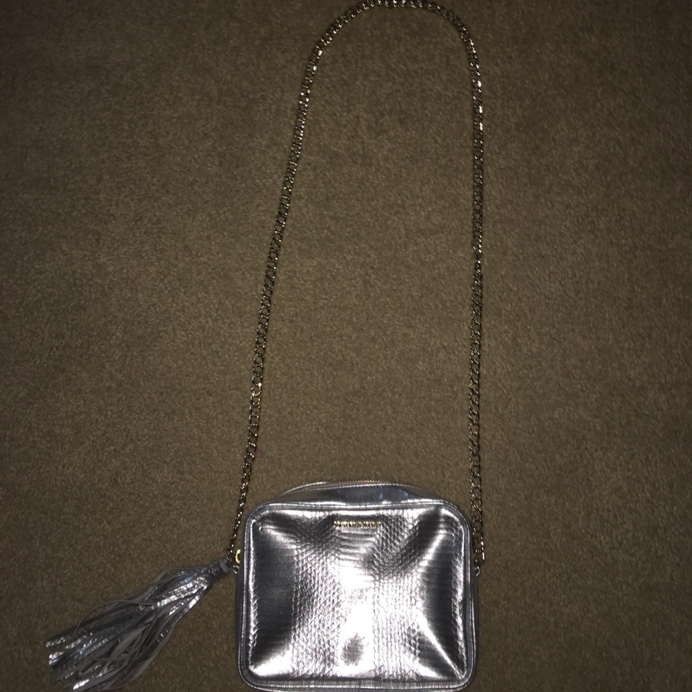 Victoria's Secret Silver And Gold Purse