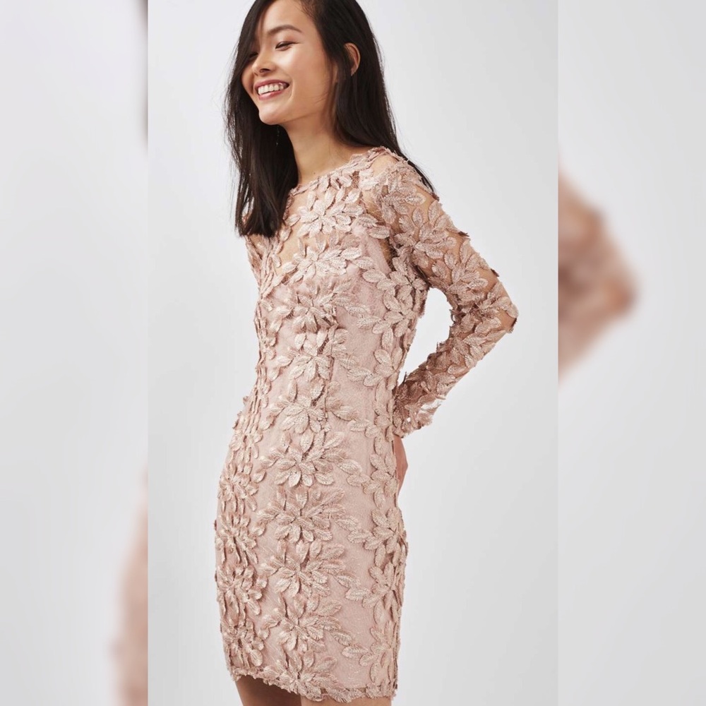 Topshop Floral See through Dress