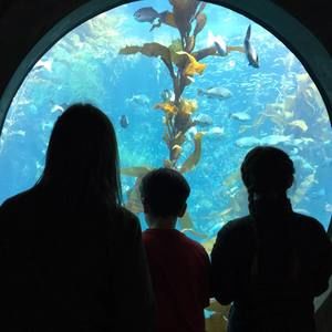 Meet your Posher, Kristin