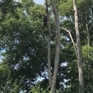 Meet your Posher, Adam