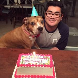 Meet your Posher, Sam