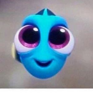 Meet your Posher, You