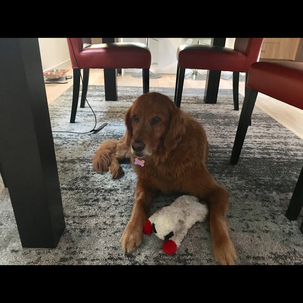 Meet your Posher, Joann