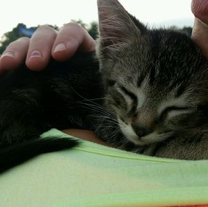 Meet your Posher, Amber