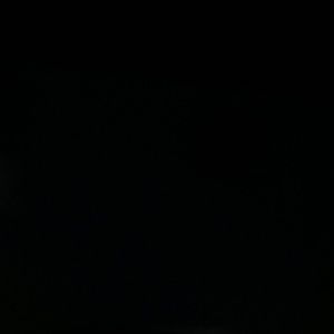 Meet your Posher, Ava