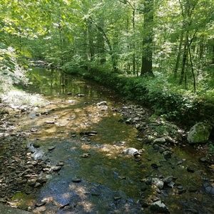 Meet your Posher, Tonia