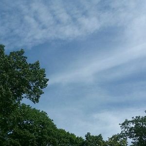 Meet your Posher, Bryna