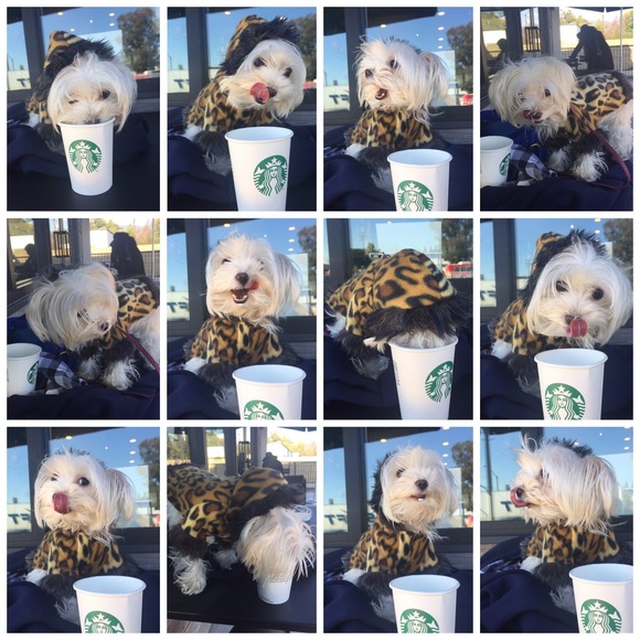 💕 Meet your posher 💕 - Picture 4 of 5