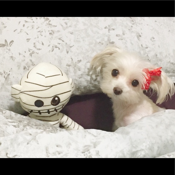 💕 Meet your posher 💕 - Picture 5 of 5