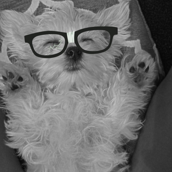 💕 Meet your posher 💕 - Picture 2 of 5