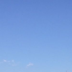 Meet your Posher, Carly