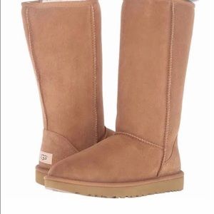 Tall tan uggs