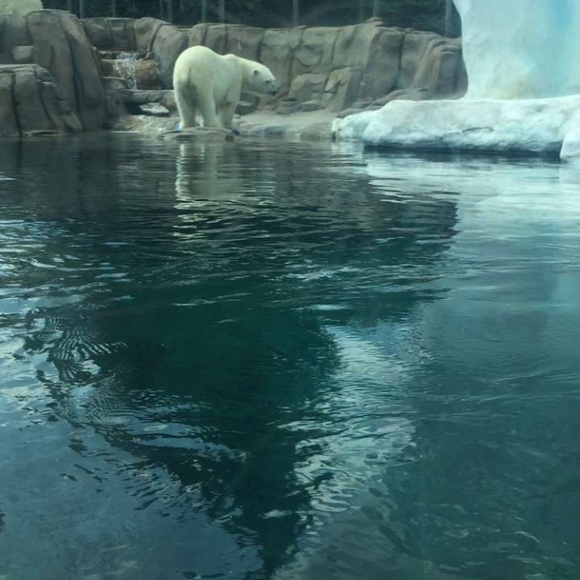 Meet your Posher, Terri - Picture 1 of 1