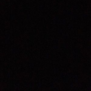 Meet your Posher, Ella