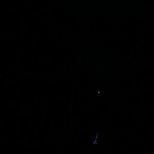 Meet your Posher, Marlon