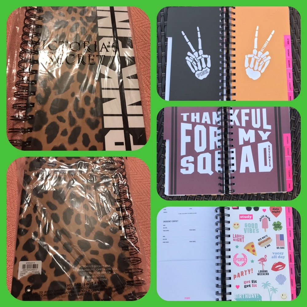 BNIP Pink Victoria'sSecret 2017/18 daily planner - Picture 1 of 6