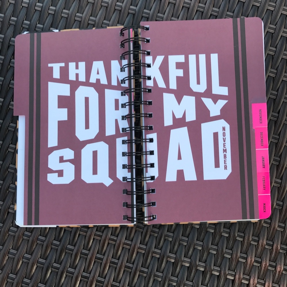 BNIP Pink Victoria'sSecret 2017/18 daily planner - Picture 4 of 6