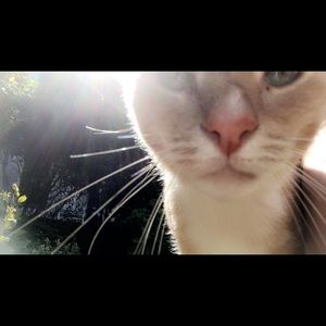 Meet your Posher, Ave