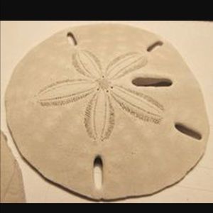 Meet your Posher, Aryana