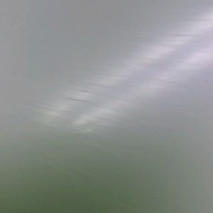 Meet your Posher, Bree