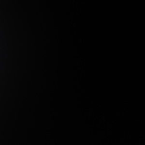 Meet your Posher, Daisy