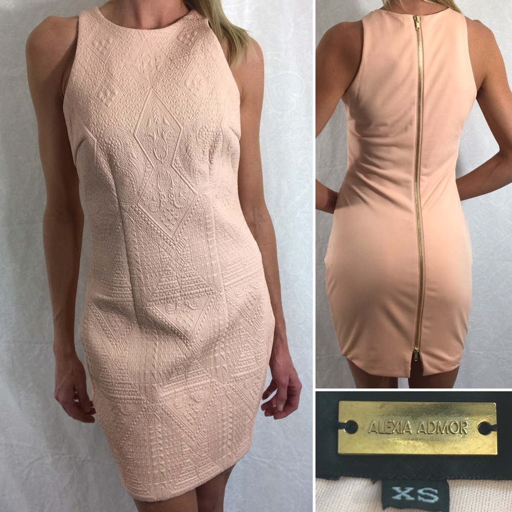 Alexia Admor Sheath Dress Pale Pink XS Gold Zipper