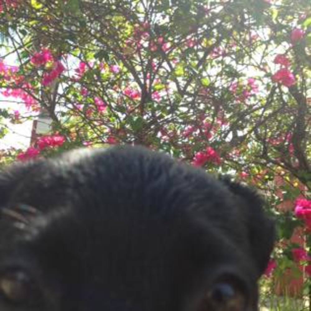 Meet your Posher, Melody