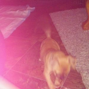 Meet your Posher, Vickie