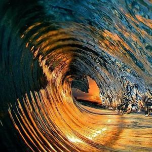 Meet your Posher, Bernard