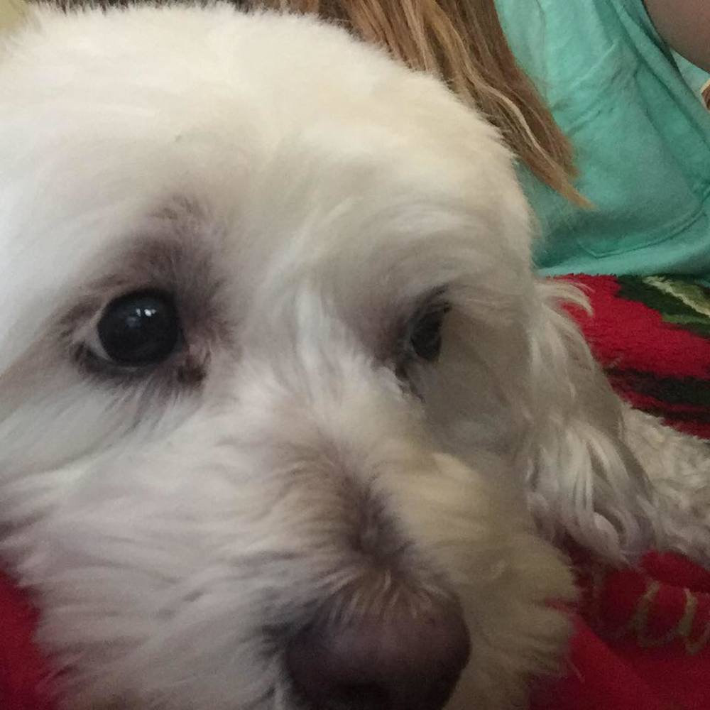 Meet your Posher, Mary