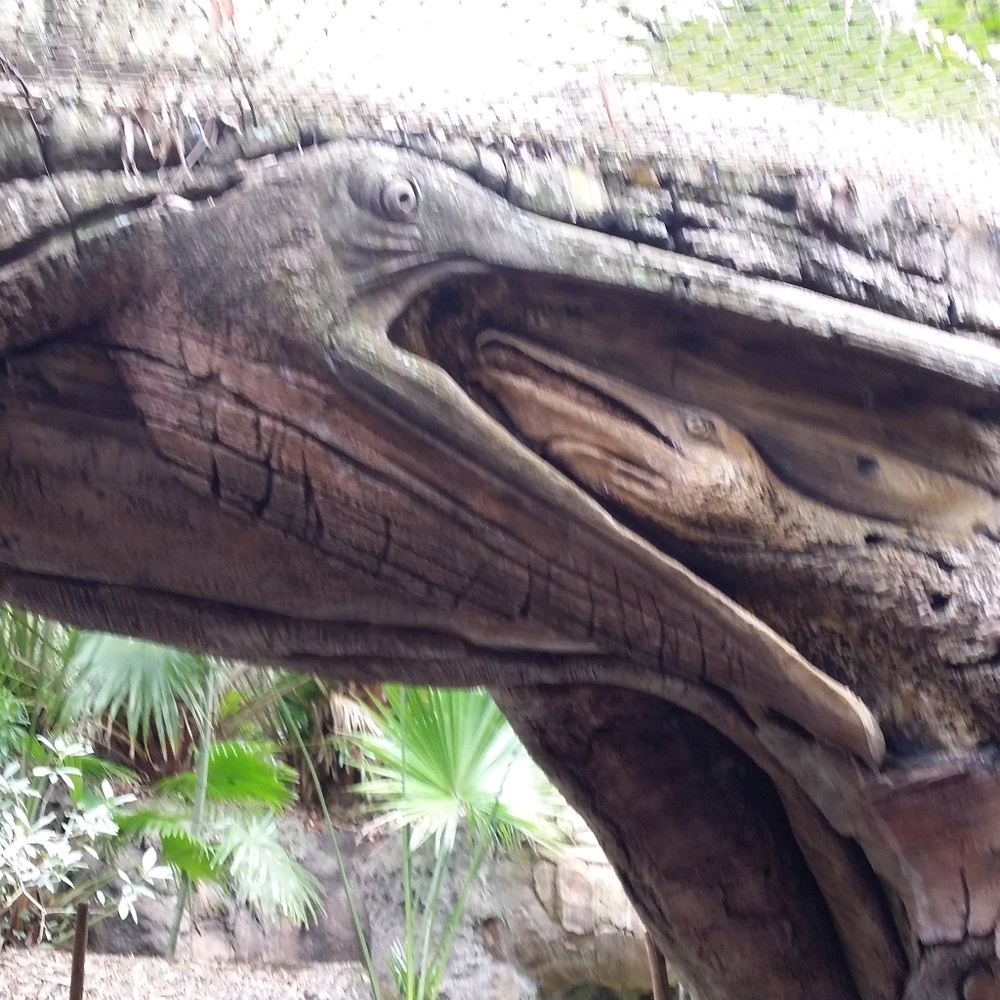 Meet your Posher, Pradipsinh