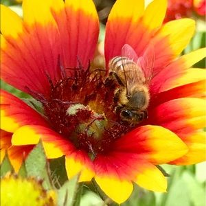 Meet your Posher, Laurie