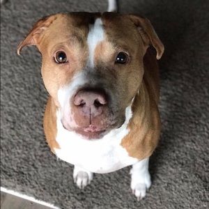 Meet your Posher, Jarrett