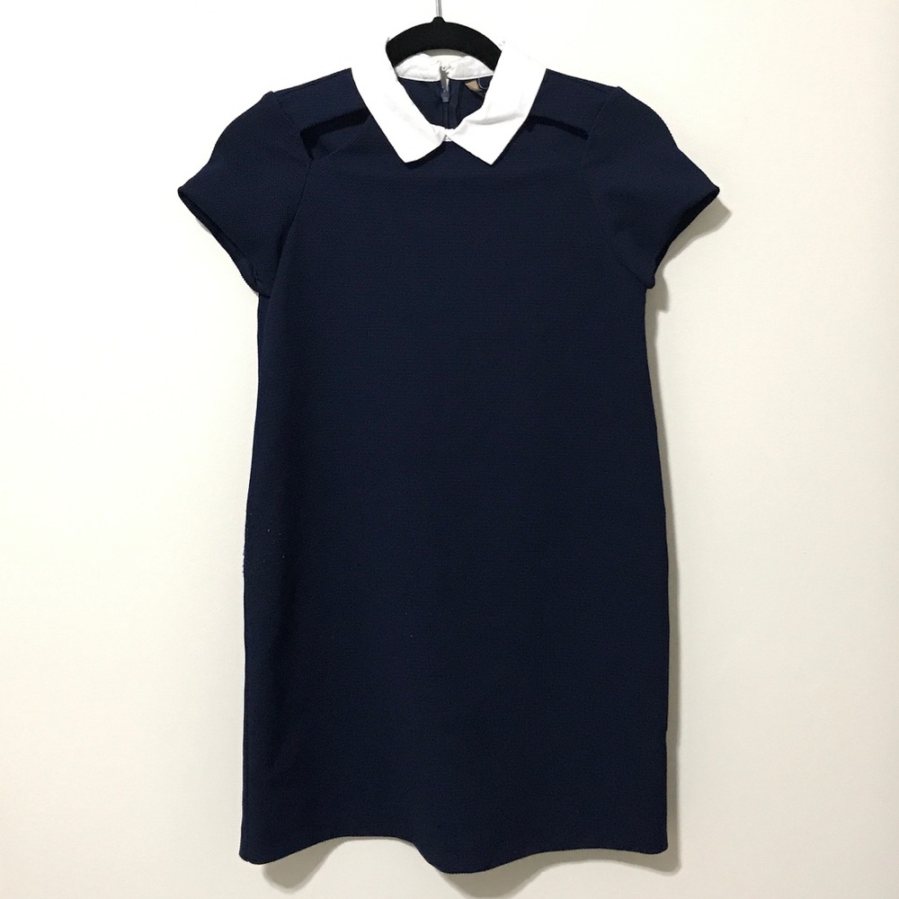 Zara Navy Collared Cut-Out Dress