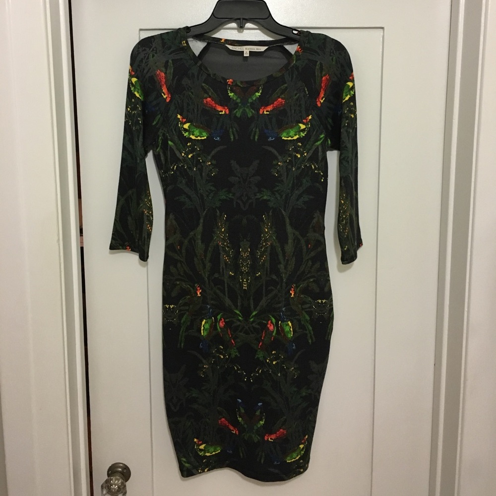Rachel Roy dress