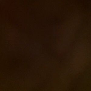 Meet your Posher, Chad